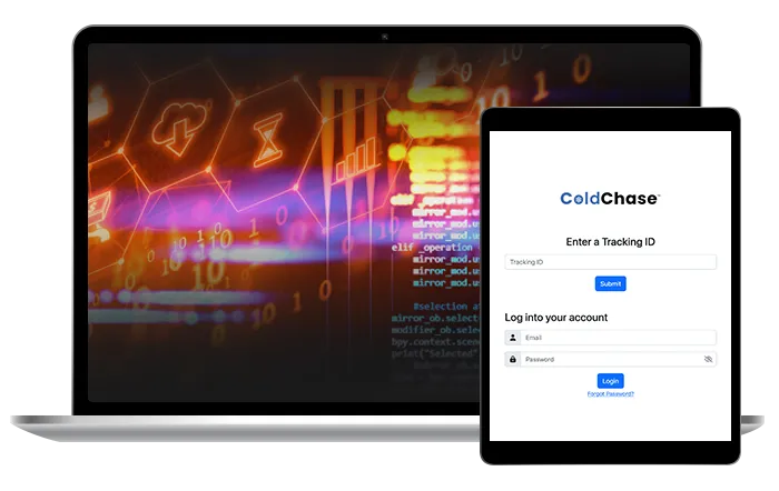 Custom Software Development in Edmonton