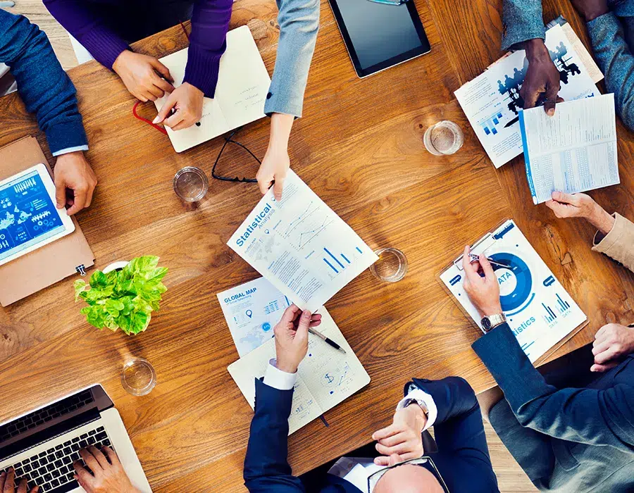 Expertise in Web Design & Digital Marketing