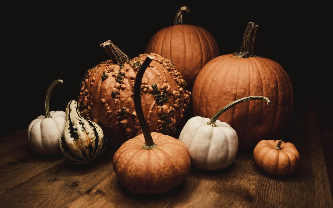 Custom web development - so good it's scary! Photo credit by Tim Mossholder for Pexels