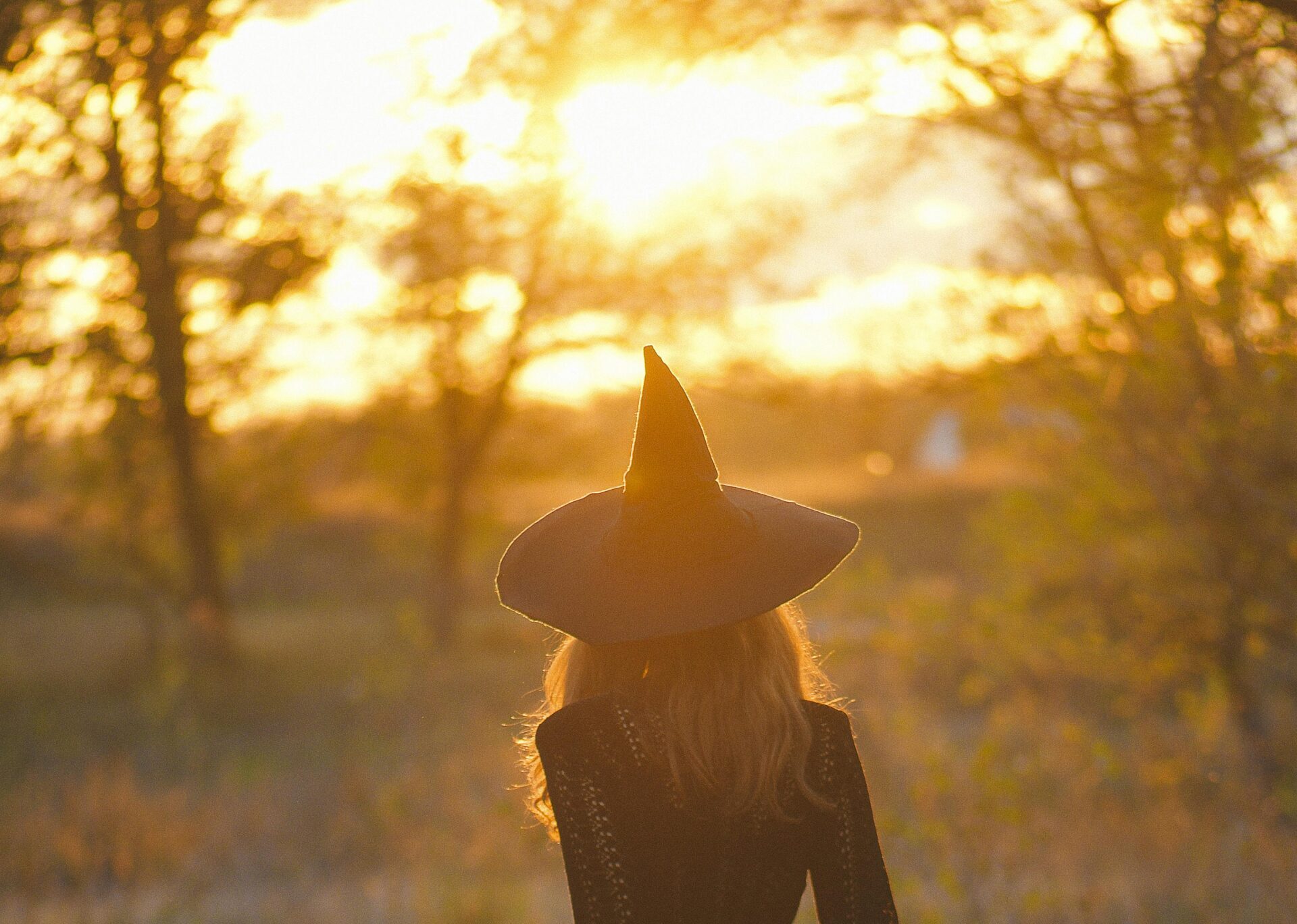 Don't be afraid to build something bewitching with Custom Website Development. Photo credit by Viktor Iyadr for Pexels.