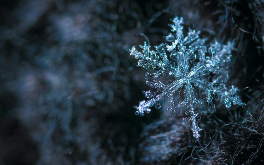 Web Design Edmonton with Digital Tea - Your Business Holiday Wish List Photo credit: pexels-ekamelev-813872